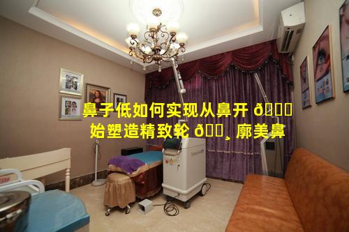 鼻子低如何实现从鼻开 🐞 始塑造精致轮 🕸 廓美鼻